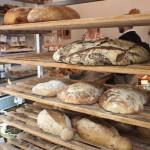 Risen and Punched: Bread and 20th century Germany